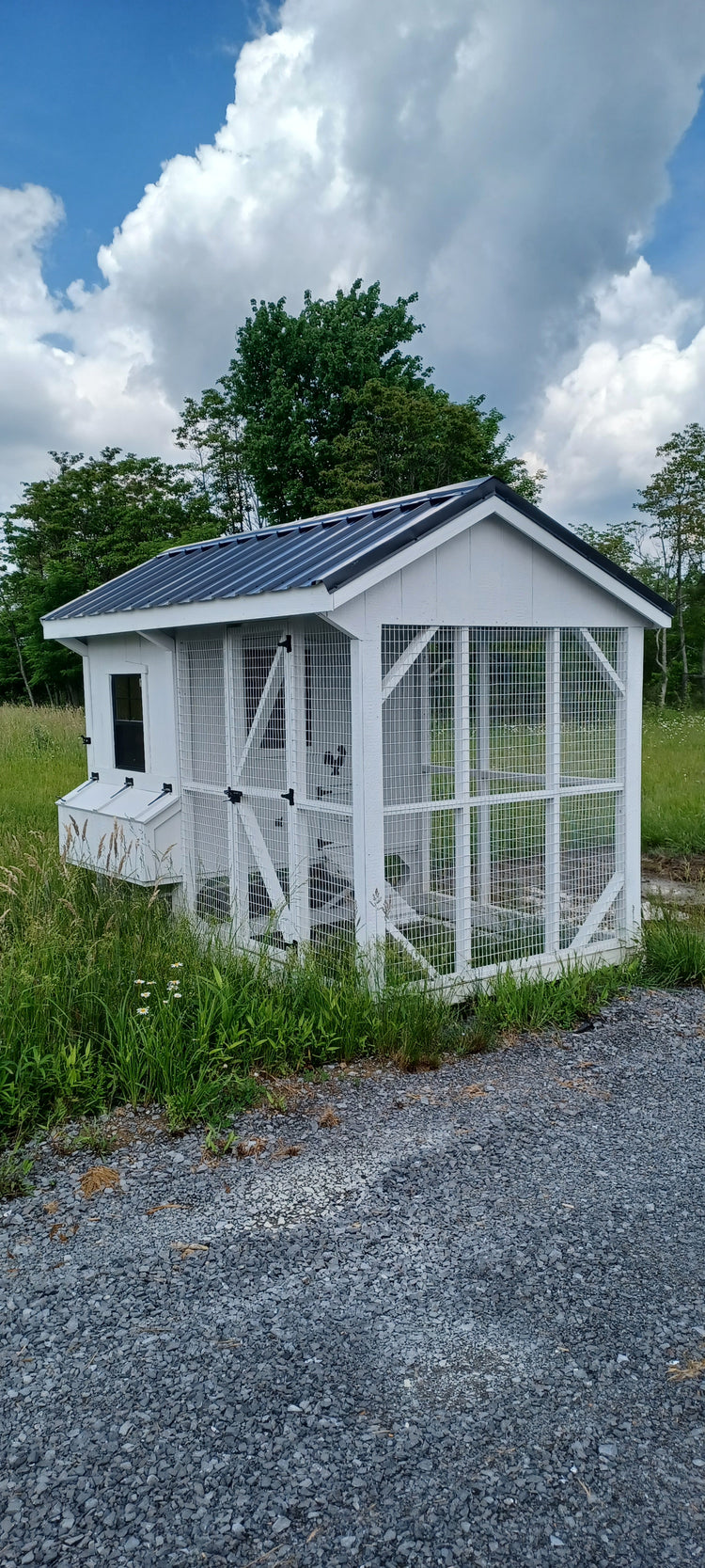 6x10 Chicken Coop w/run - 23-3485-3 Par